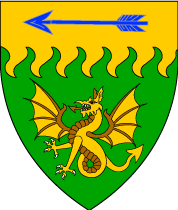 Arms Image